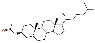 Cholestan-3-yl acetate